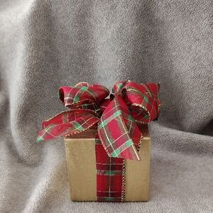 NWOT, Holiday Accent, Package